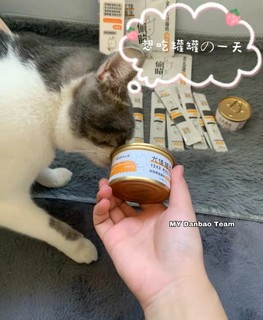 ​尤佳猫王|专治猫咪食欲不振