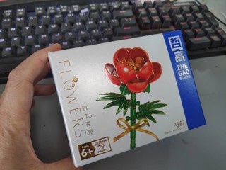 小宝花园的新品