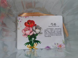 小宝花园的新品