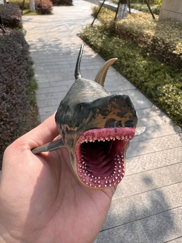 小朋友看了都说丑的巨齿鲨