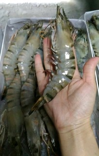 品鲜猫越南活冻黑虎虾