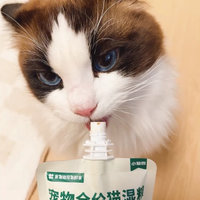 绝！猫咪意外的喜欢吃