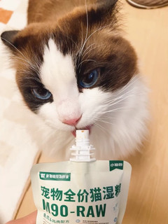 绝！猫咪意外的喜欢吃