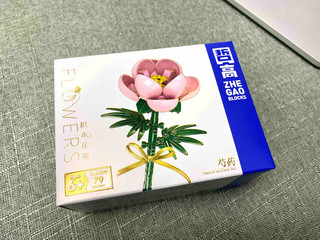 真花or假花？娱乐也能观赏～