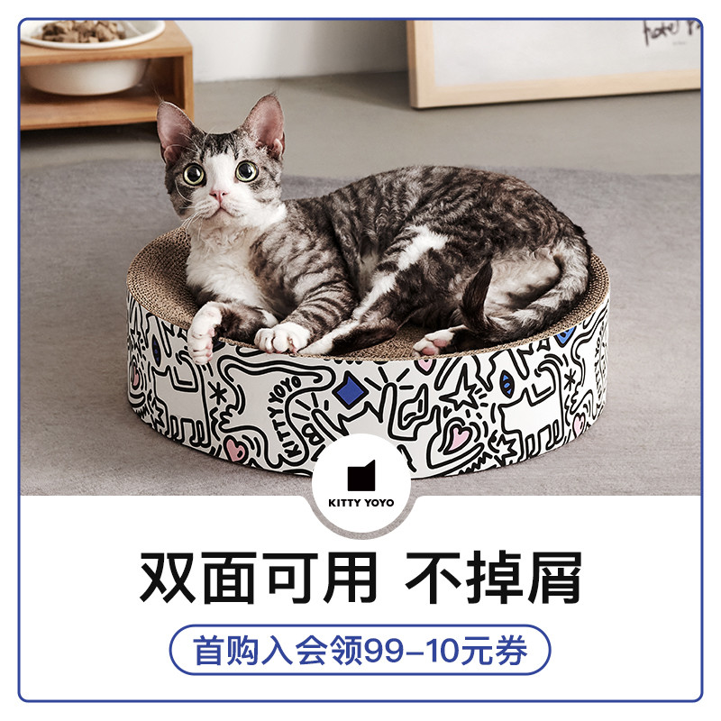 养猫新手必看的11条建议——流浪猫领养攻略+实用避坑指南+亲测好物分享！（吐血整理！速速码住！）