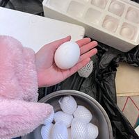 白壳鸡蛋:实惠之选