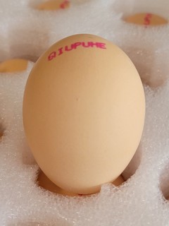 🐓国内可生食鸡蛋的又一选择，秋浦河