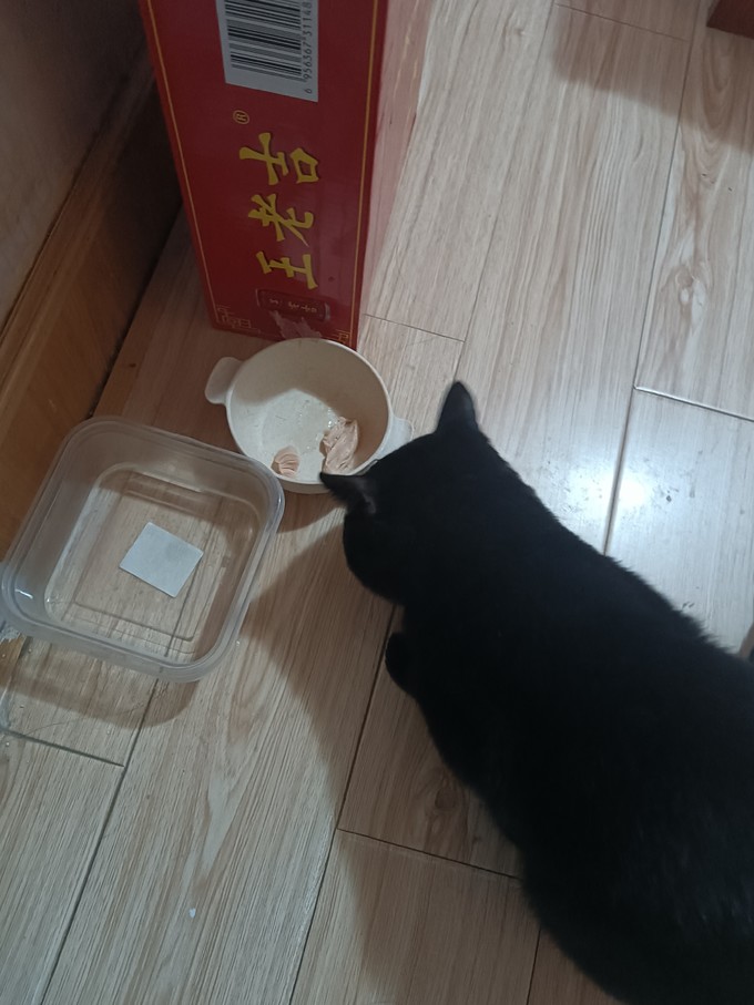 猫犬通用零食