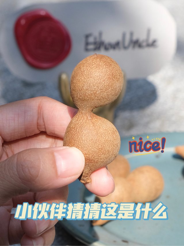 云南特产酸角，甜的不要不要的，你吃过吗