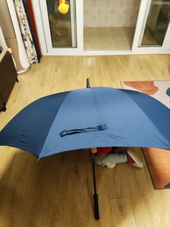 这伞真的好大