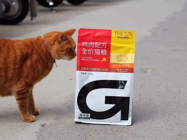 高爷家猫粮