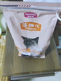 猫咪儿叫着要吃粮了