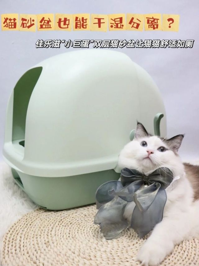 猫砂盆也可以干湿分离啦!