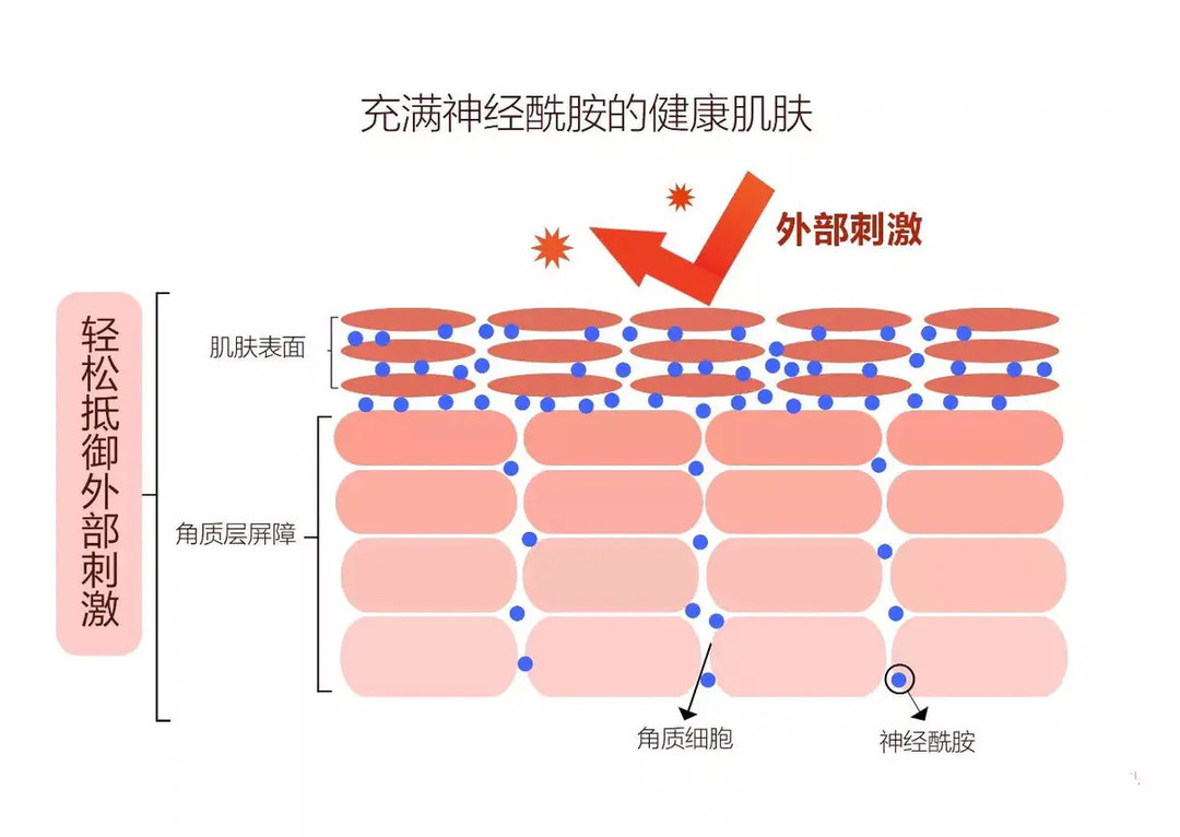 泛红、过敏、烂脸...屏障受损怎么办？搞清问题源头，护肤事半功倍！