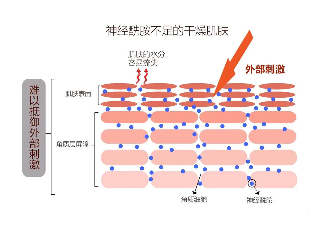 泛红、过敏、烂脸...屏障受损怎么办？搞清问题源头，护肤事半功倍！