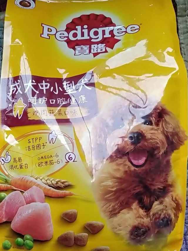 谁想做铲屎的