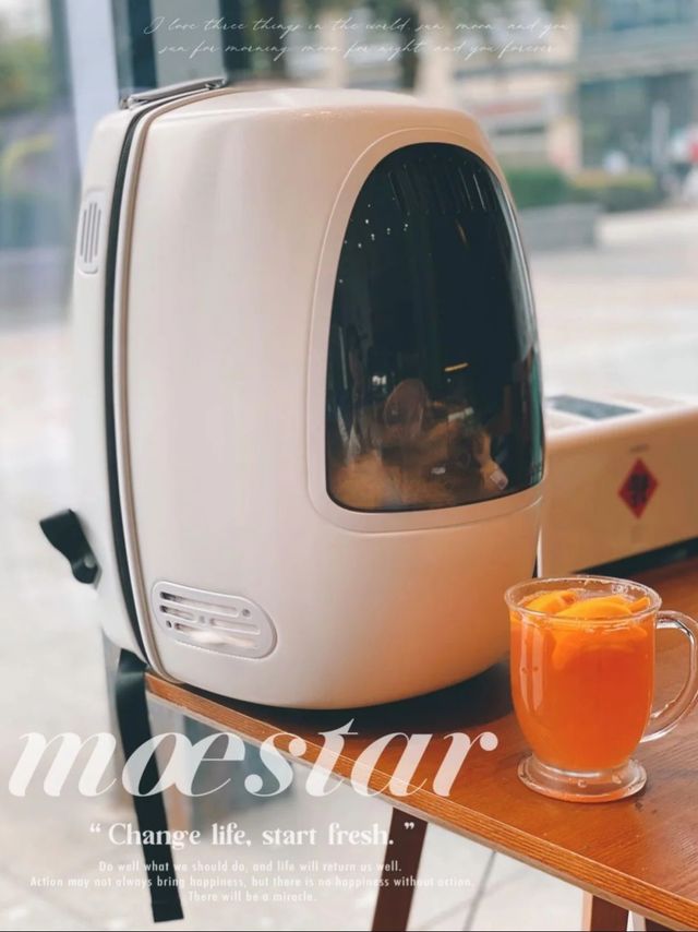 猫咪出行必备|萌王星猫包