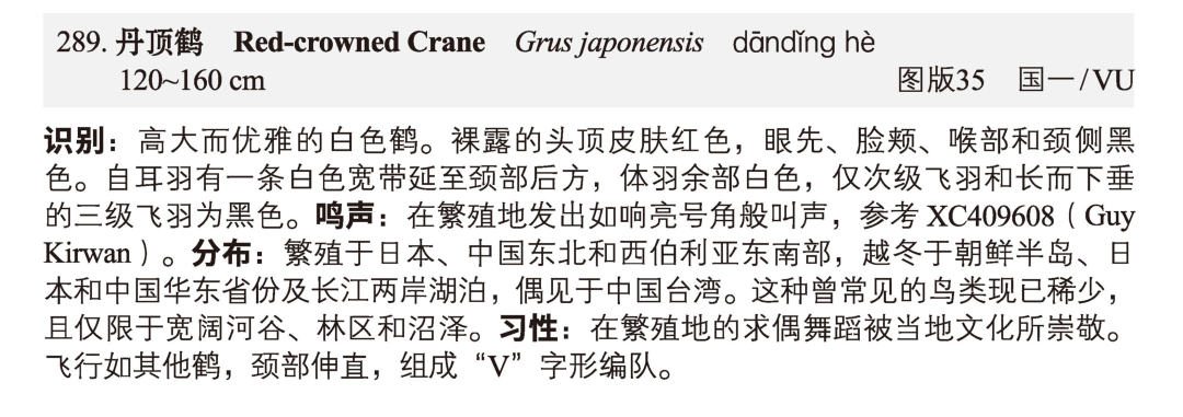 中国鸟类的“新华字典”，22年后全新修订，手里那本要更新啦！