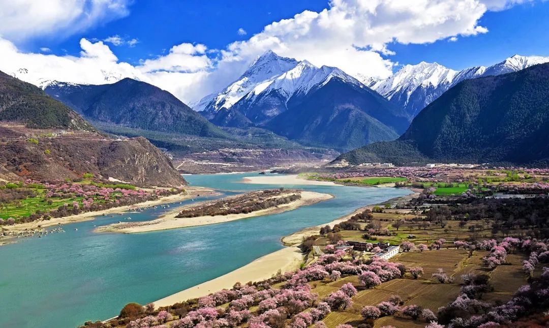雅鲁藏布江峡谷两岸被桃花覆盖，热烈而浪漫 ©网络