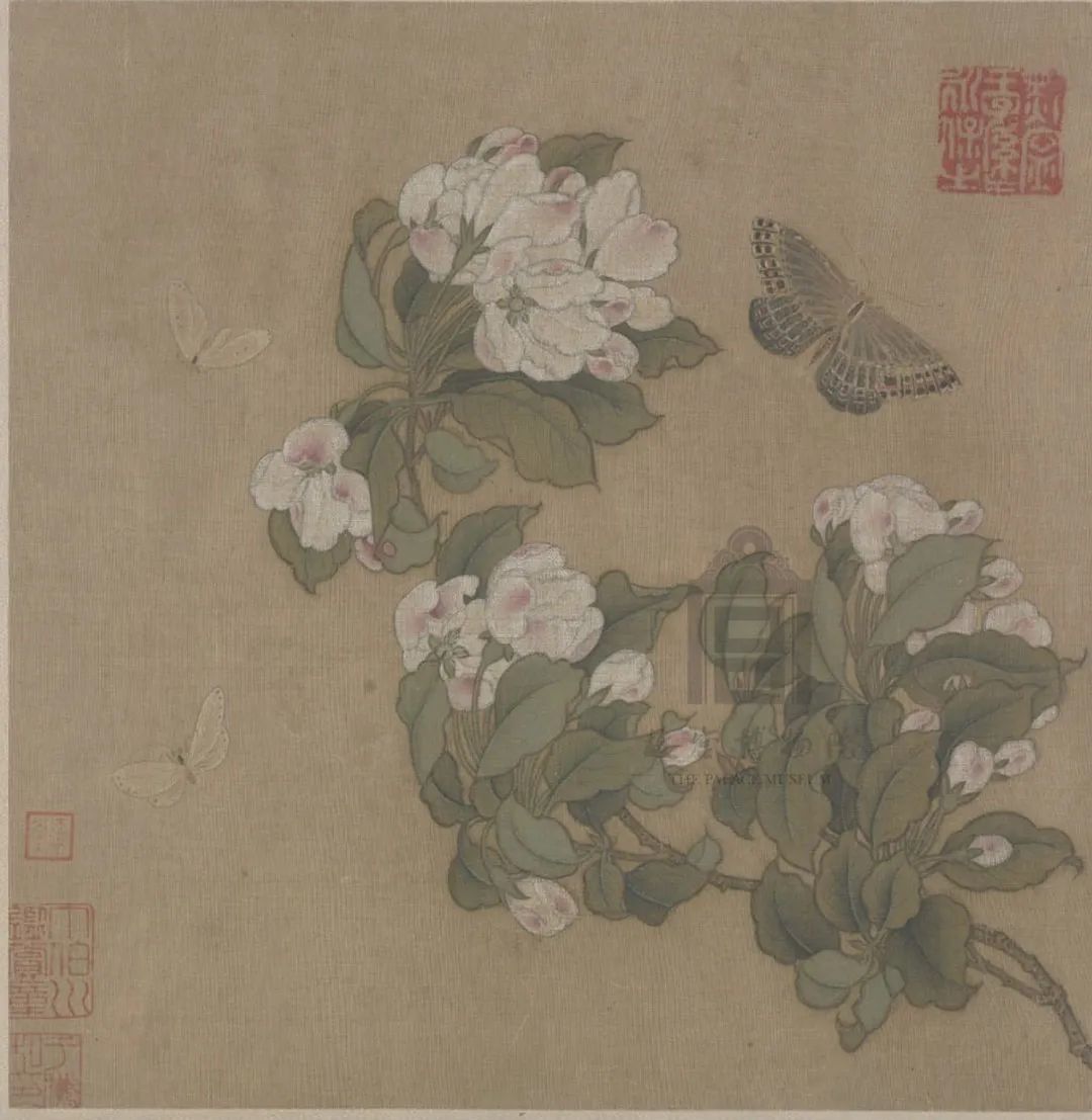 宋代《海棠蛱蝶图》页 ©故宫博物院
