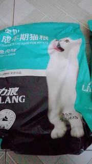 猫咪每天的最爱