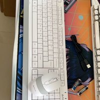 双飞燕FG1010象牙白无线键盘套装打字办公