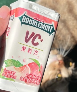 绿箭果粒方维生素c口香糖🍑白桃薄荷味绝