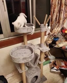 猫爬架猫窝一体