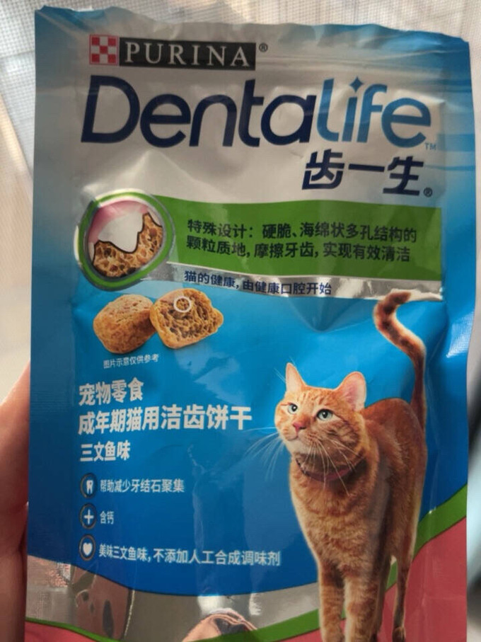 猫咪磨牙洁齿