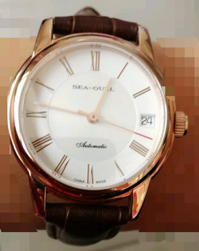 海鸥女款机械表