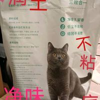 奶香味的混合猫纱