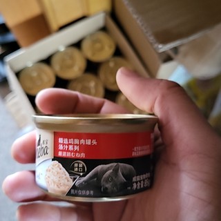 铲屎官，美短