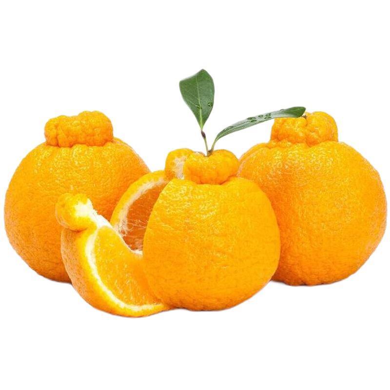 四川丑橘不知火，容易食用，糖分高