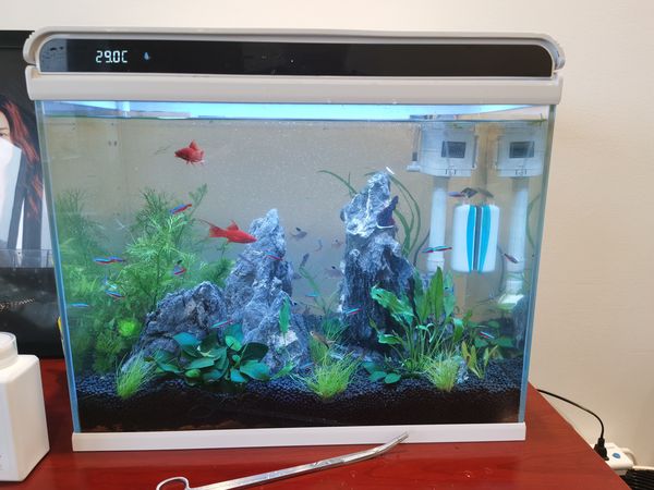 那些年我搞过的桌面鱼缸