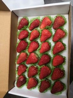 莓旅 丹东99草莓