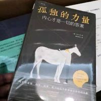 孤独的力量：内心才是一切的答案