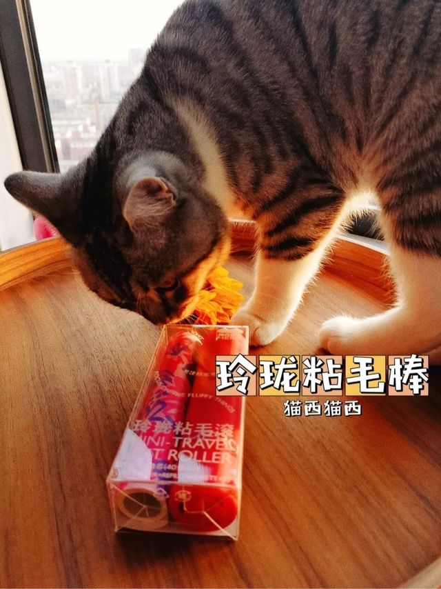 2022春季猫咪超值好物