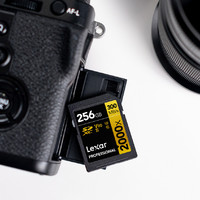 300MB/s读速：雷克沙发布 Professional 2000x 系列储存卡，最高256GB