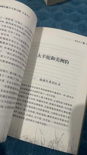 沈石溪动物小说系列之《骆驼王子》