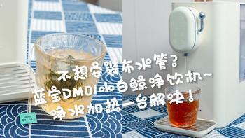 不想安装布水管？蓝宝DM01小白鲸净饮机，净水加热一台解决！