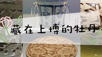 释展人 篇十五：藏在上海博物馆里的“牡丹” 