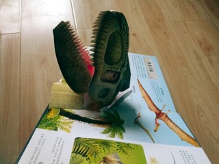 小小恐龙爱好者一定要读这本书哦！
