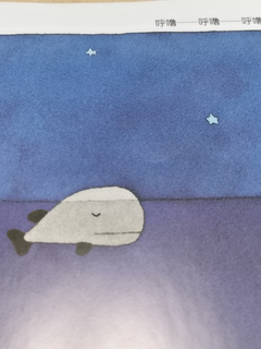 爱睡觉的鲸鱼🐳