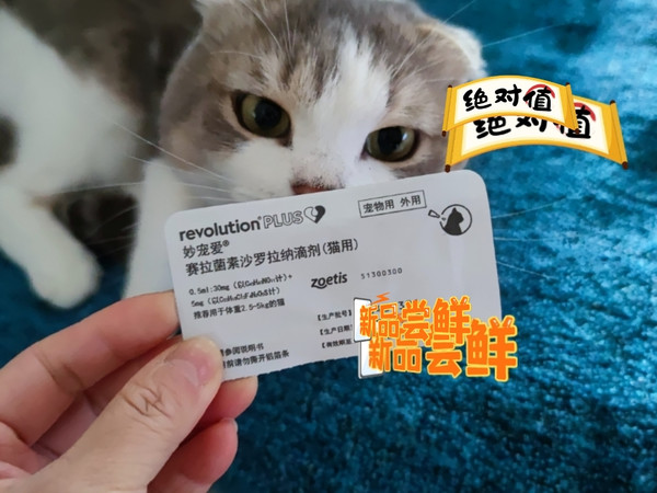 大宠爱驱虫升级妙宠爱