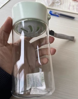 物生物塑料水杯