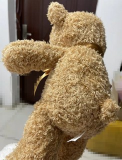 它是泰迪熊🐻吗