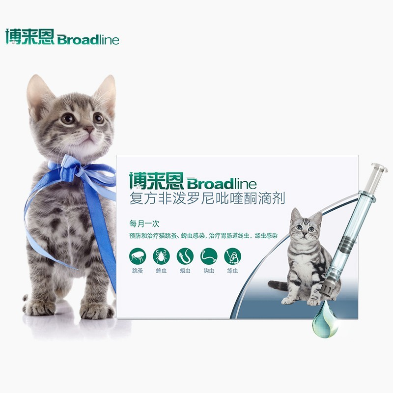 关于猫咪驱虫那点事儿，我用一篇文章就能给你讲的明明白白！