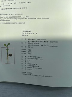 关于植物种子的儿童绘本