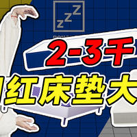 【315】最新实测3款2-3K平价新兴国产床垫—菠萝斑马/Qrua/蓝盒子！谁是实至名归的国产平价战斗机？