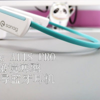 开车听歌用Sanag A11S PRO 秘境寒鸦气传导